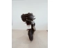 Triumph Tiger 850 A2 con 1090Km