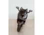 Honda Forza 125 modelo 2023