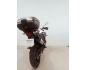 TRIUMPH TIGER 800 XC