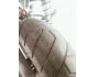 Honda Dax 125
